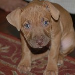 betty