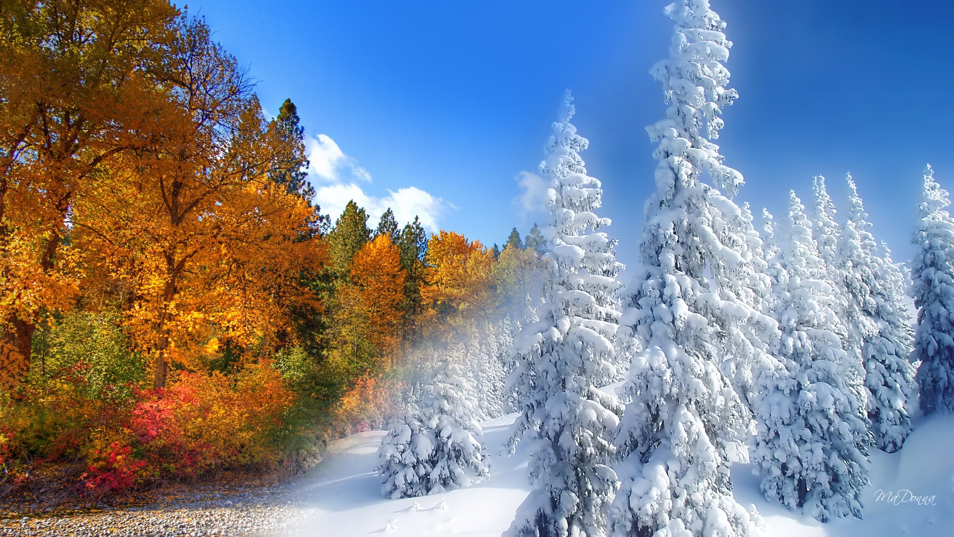 Image result for fall and winter